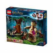 LEGO Harry Potter Zabranjena šuma: okršaj Grawpa i Umbridgeove (75967) 
