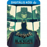 Batman™: Arkham Origins Blackgate - Deluxe Edition (PC) Download 