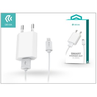 Devia ST002960 Smart Micro USB AC Charger charger Mobile