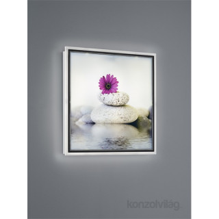 TRIO R22140101 Zen wall Light Dom