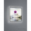 TRIO R22140101 Zen wall Light thumbnail