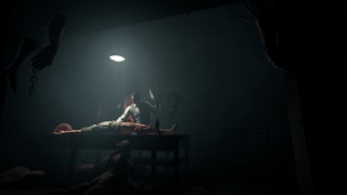 Outlast: Whistleblower DLC (PC) Steam (Downloadable) PC