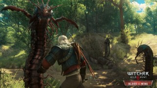 The Witcher III: Wild Hunt - Expansion Pass (PC) Downloadable PC