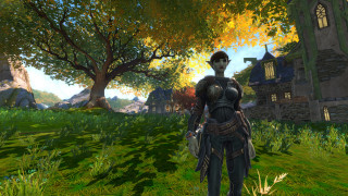 Kingdoms of Amalur: Reckoning PC