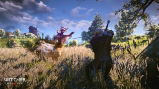 The Witcher 3 Wild Hunt  PC