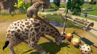 Zoo Tycoon (s Kinect podporou) Xbox One