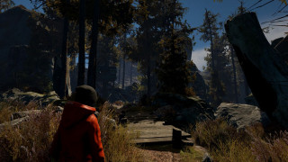 Through the Woods (PC) (Downloadable) PC