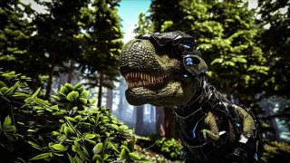 Ark: Survival Evolved PC