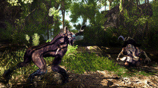 Risen 2: Dark Waters Gold Edition PC