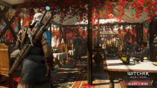 The Witcher III (3) Wild Hunt Blood and Wine PC