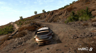 World Rally Championship 8 (WRC 8) PC