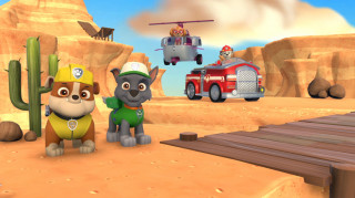 Paw Patrol: On Roll PS4